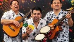 Latino Party mit Latin Fever Trio