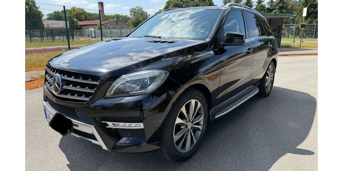 Mercedes-Benz ML 350 196.447 km 13.950 &euro; Neustadt-Glewe 19306