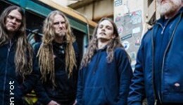 Jungle Rot