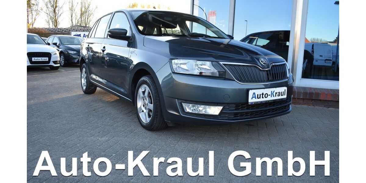 Skoda Rapid 164.070 km 6.699 &euro; Rehna 19217
