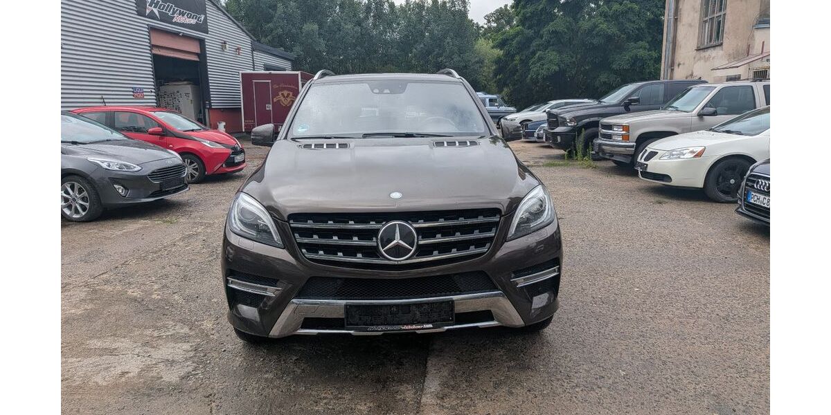 Mercedes-Benz ML 350 220.200 km 18.000 &euro; Pinnow 19065