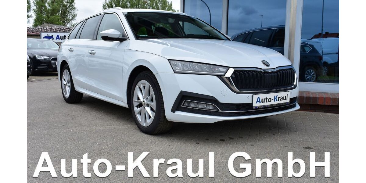 Skoda Octavia 94.863 km 19.349 &euro; Rehna 19217
