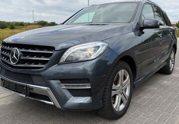 Mercedes-Benz ML 350 312.830 km 22.000 &euro; Rastow 19077