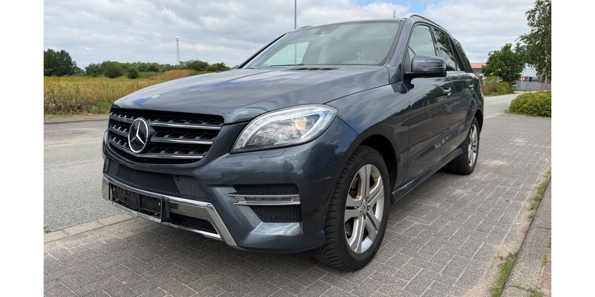 Mercedes-Benz ML 350 312.830 km 22.000 &euro; Rastow 19077