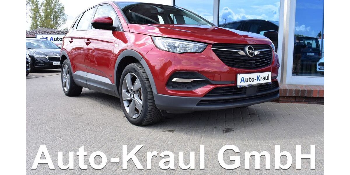 Opel Grandland (X) 27.722 km 19.149 &euro; Rehna 19217